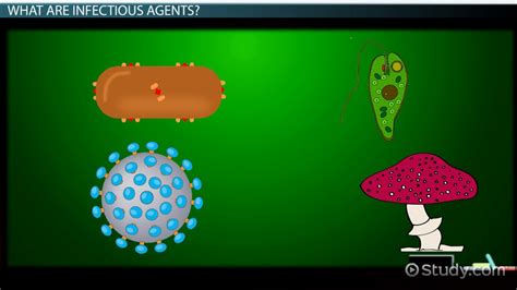 Infectious Agents Definition And Types Video And Lesson Transcript