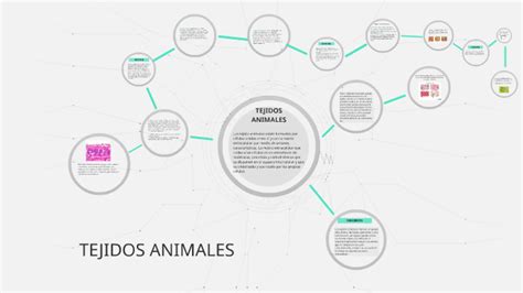 Tejidos Animales By Anderson Martinez