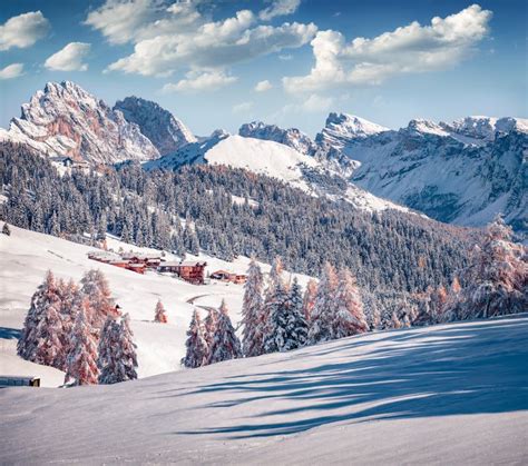 Bright Outdoor Scene Of Dolomite Alps With First Snow Cowered Larch