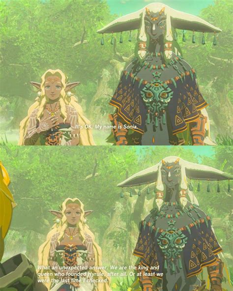 King Rauru And Queen Sonia In 2023 Legend Of Zelda Zelda Art Legend Of Zelda Breath