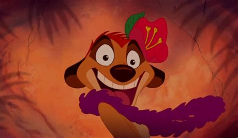 He should want to know your likes he loves being around you but he's afraid that this relationship might end up being like his last one, and he doesn't want to commit before knowing for. Image - Timon ().PNG - DisneyWiki | Lion king timon ...