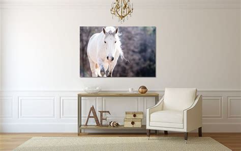 See more ideas about horse decor, equestrian decor, decor. Shawnee Creek Wild Grey Horse Fine Art Print Equestrian ...