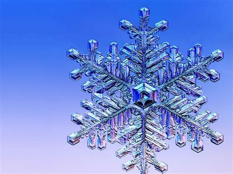 Snowflakes Snowflakes And Snow Crystals Snowflakes Real Snowflake