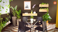 Decora tu casa con plantas de interior - YouTube