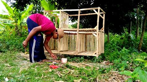Cara membuat kandang ayam bangkok.jpg. Ukuran Kandang Ayam Bangkok Dari Bambu / cara ternak ayam ...