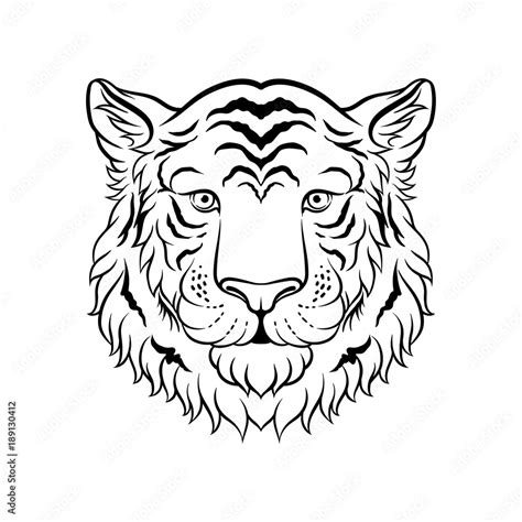 Black And White Sketch Of Tigers Head Face Of Wild Animal Hand Drawn