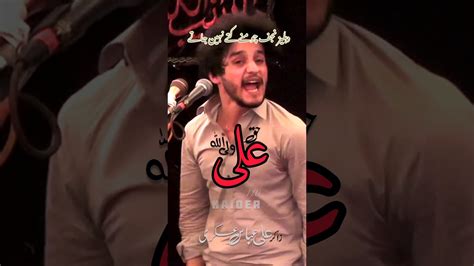 Zakir Ali Abbas Askari Shairi Arbaeen Najaf Shia YouTube