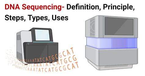 Dna Sequencing Definition Principle Steps Types Uses
