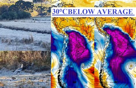 Brazil Is Waiting A Historic Coldwave Temperatures Will Drop 30°c