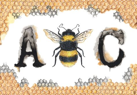 Bumblebee Illustration Alphabet Illustration Bee Art Print Etsy