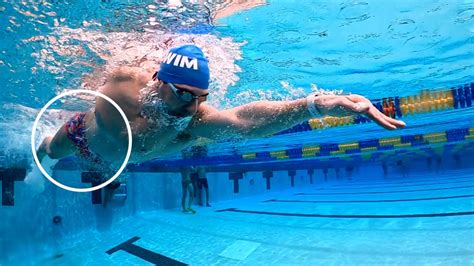 How To Swim Freestyle For Beginners 5 Step Guide Myswimpro Meopari