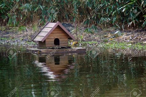 Check spelling or type a new query. DIY Duck House - Follow these easy steps - All Pet Care