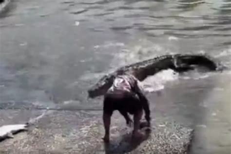 VÍDEO Pai se arrisca e é perseguido por crocodilo para salvar boné