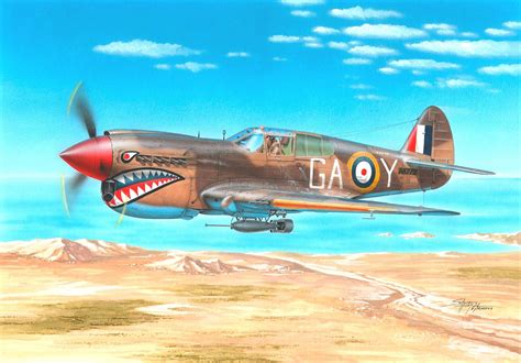 壁纸 第二次世界大战 飞机 Curtiss P 40 Warhawk 战争 2048x1426 Sweetduplings