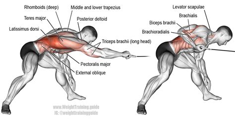 Bent Over One Arm Cable Pull A Unilateral One Sided Compound