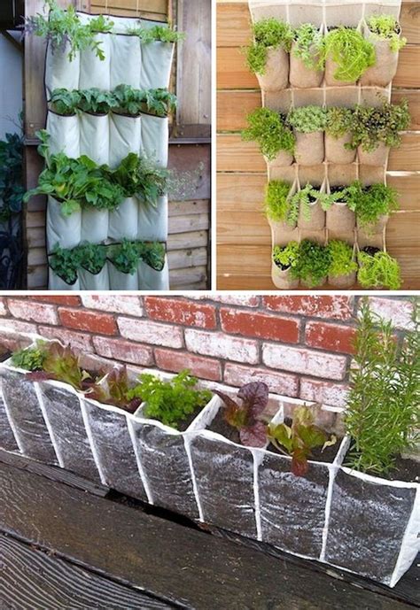 24 Creative Garden Container Ideas Use Hanging Shoe Racks To Grow A