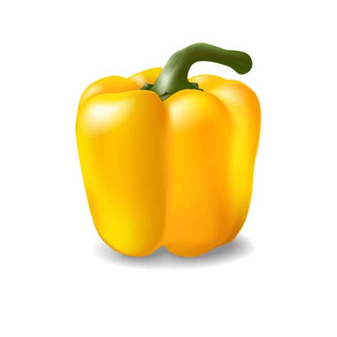 Yellow Pepper Illustrations Royalty Free Vector Graphics And Clip Art