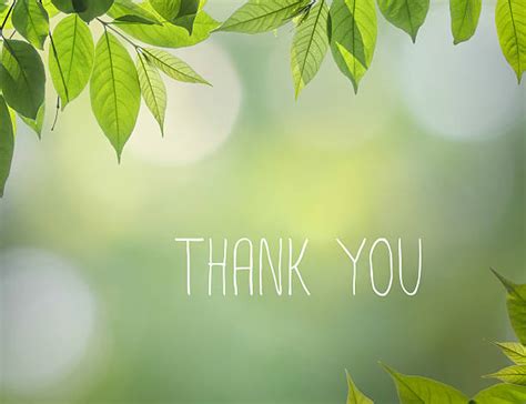 Thank You Nature Stock Photos Pictures And Royalty Free Images Istock