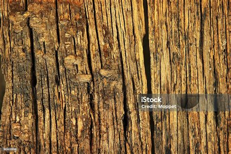 Decaying Wood Stock Photo Download Image Now Art Arts Culture And