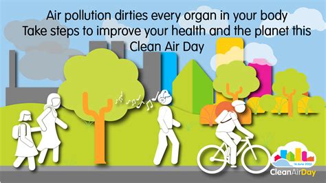 Clean Air Day 2022 Air Pollution Dirties Every Organ In The Body