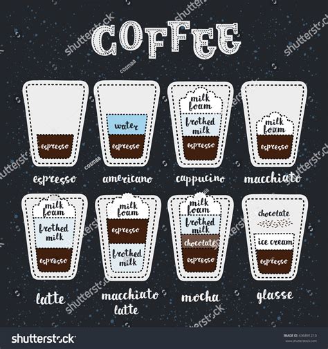 Coffee Guide Set Hot Drinks Different Stock Vector 436891210 Shutterstock