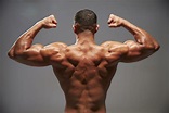 8 things that can not be tolerated during the back muscles training ...