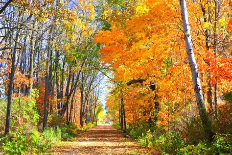 Check Out Mascoutin Valley State Recreation Trail On The Fall Color