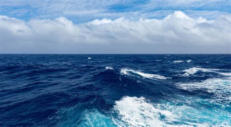 Cum A Fost Poluat Oceanul Pacific De Către Un Subcontractor Al Facebook