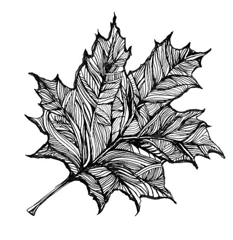 Leaves Drawing Clipart Best