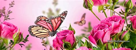 We did not find results for: Butterfly Pink Flowers Spring Facebook Cover - Animals