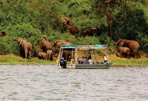 12 Days Best Uganda Wildlife Special Uganda Safaris Uganda Tours