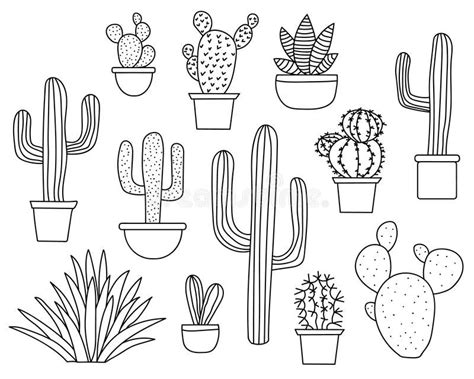 Cactus Line Drawing At Explore Collection Of