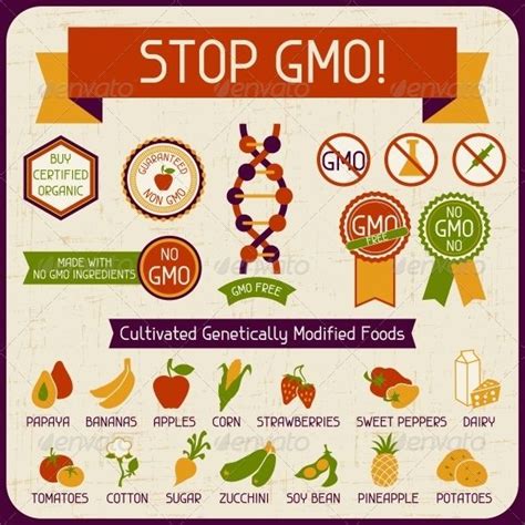 Information Poster Stop Gmo Gmo Foods Genetically Modified Food