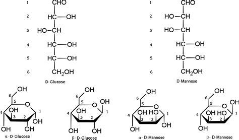 Top 35 Glucose Structure En Iyi 2022