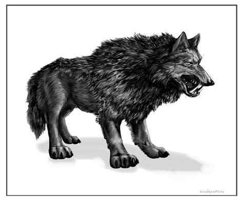 The Saber Wolf Alaskas Other Cryptid