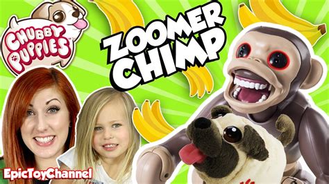 Chubby puppies are stumbling, fumbling, tumbling cuteness you'll fall for! Chubby Puppies NEW Playground & Park + Zoomer Chimp Robot ...
