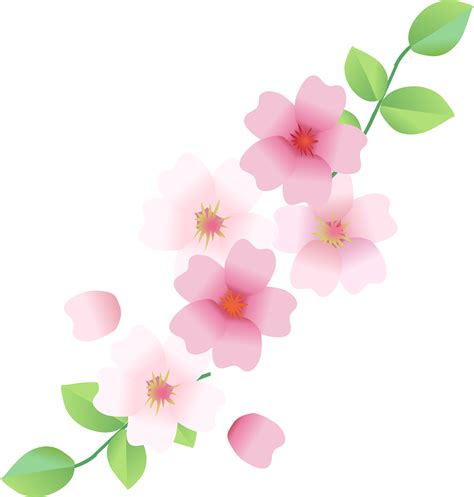 Sakura Cherry Blossoms Border 16384097 Png