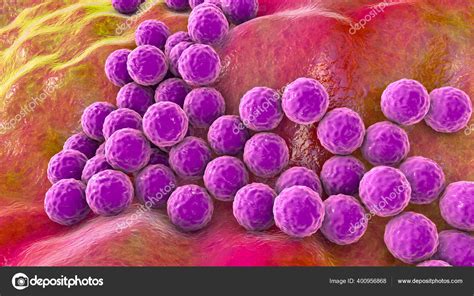 Bacteriën Staphylococcus Aureus Staphylococcus Epidermidis Mrsa