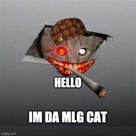 Mlg Cat Imgflip
