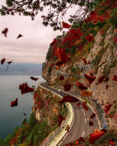 Switzerland Roads 🍂🇨🇭 Can You Guess The Location 🤔 Amirasani13 Switzerl Places To