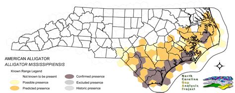 American Alligator Habitat Map