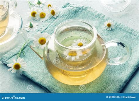Chamomile Tea Camomile Infusion In A Teapot Natural Remedy Stock