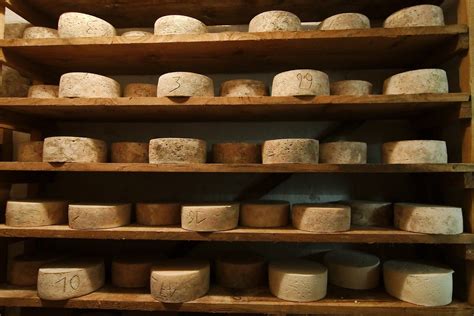 Notre Top Des Fromages De Bourgogne Bourgogne Tourisme Hot Sex Picture