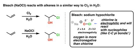 How Bleach Works Understanding Colors From Nature — Master Organic