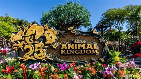 Disney's Animal Kingdom 25th Anniversary Celebration - YouTube
