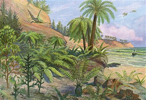 A Jurassic Landscape Date Drawing by Mary Evans Picture Library