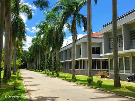 Back To The University University Of Peradeniya Sri Lanka Leisure