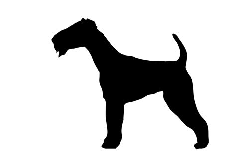 Dog Airedale Black Silhouette Free Stock Photo Public Domain Pictures