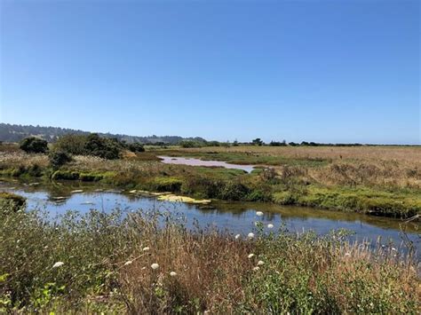 Humboldt Bay National Wildlife Refuge Complex Loleta 2020 All You