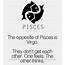 Pisces And Virgo  12 Zodiac Signs